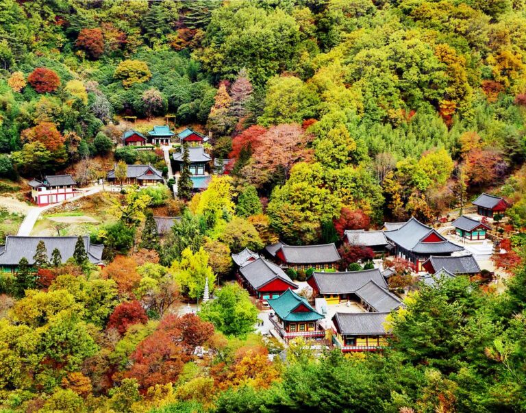 1.쌍계사.jpg.middle