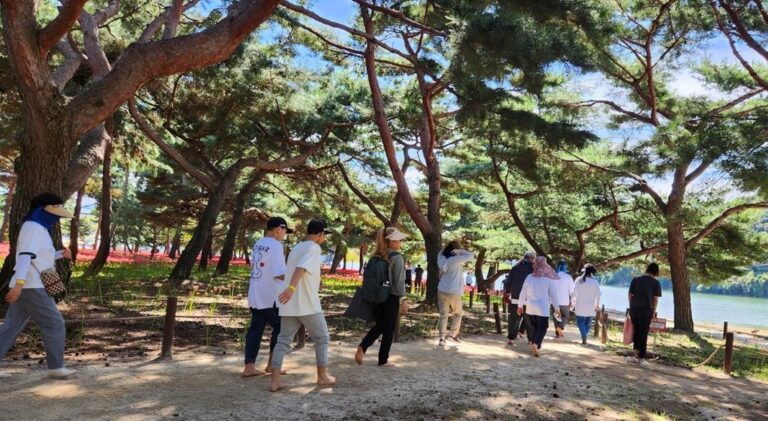 3.맨발+걷기.jpeg.middle