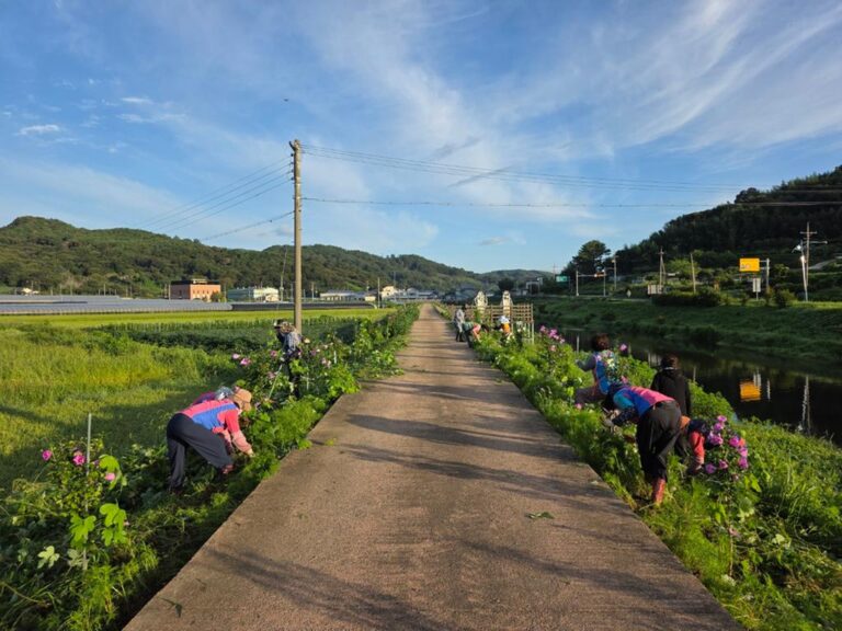 4.양보면무궁화길청소-11.jpg.middle