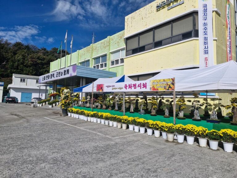 4.금성면+국화전시회-1.jpg.middle