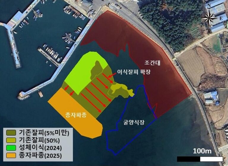 KB+바다숲+조성사업,+사천시+대포+연안에+잘피+종자+15만개+파종+(6).jpg.middle