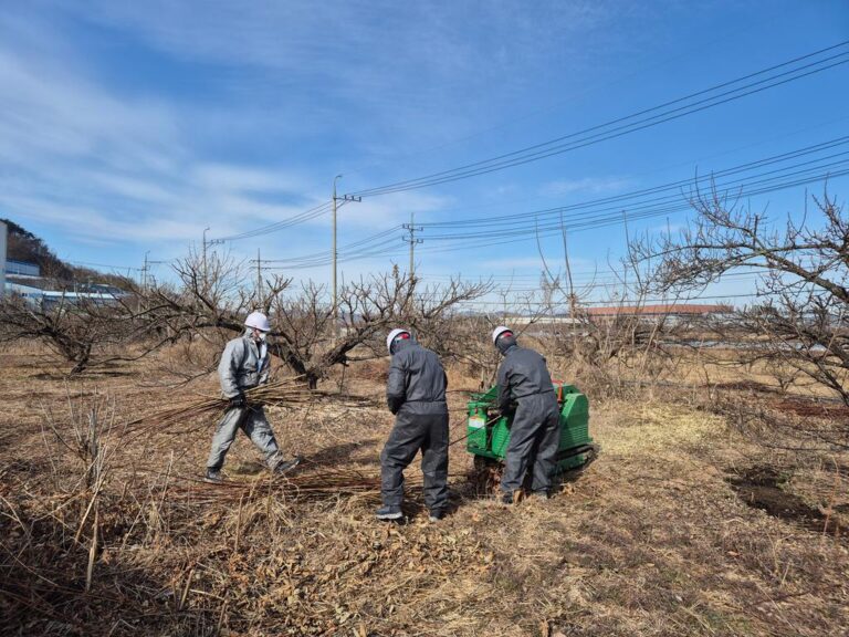 사천시,+영농부산물+파쇄+지원으로+겨울철+산불+예방+강화.jpg.middle