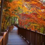 진주시++‘진양호+노을길+준공+기념+걷기+행사’오는+24일+개최+(1).jpg.middle