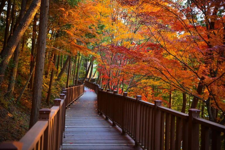 진주시++‘진양호+노을길+준공+기념+걷기+행사’오는+24일+개최+(1).jpg.middle