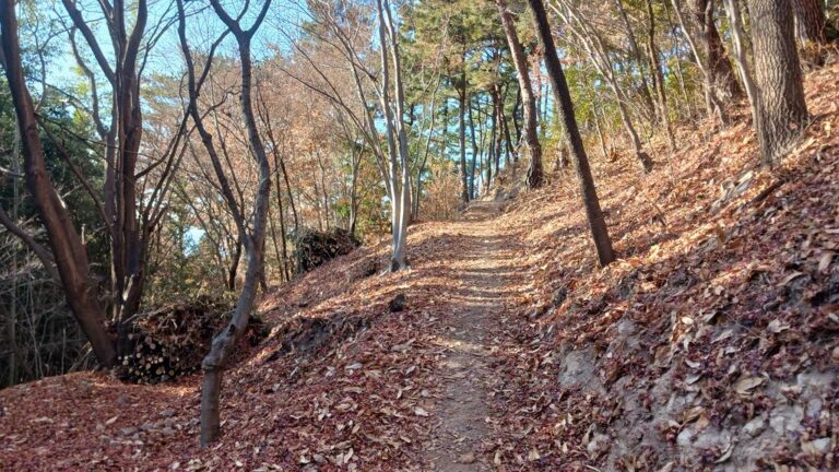 사천시,+향교숲길+조성+완료+(3).jpg.middle