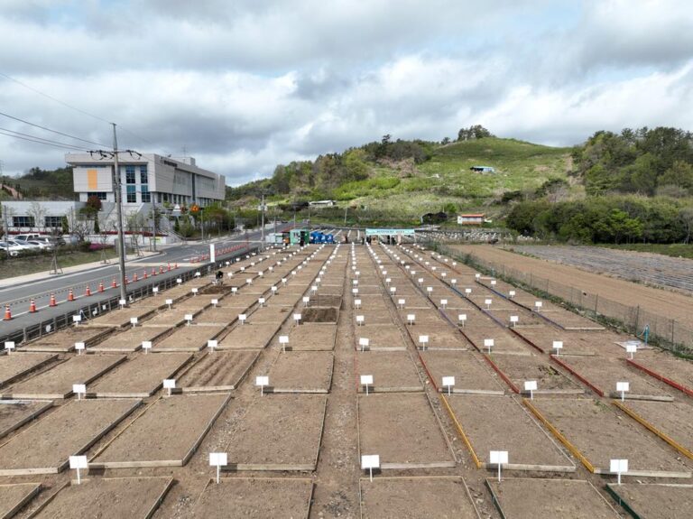 진주시+도심속+농업체험+‘시민텃밭’+분양.jpg.middle