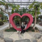 사천시유기동물보호소,+새로운+가족을+기다립니다.jpg.middle