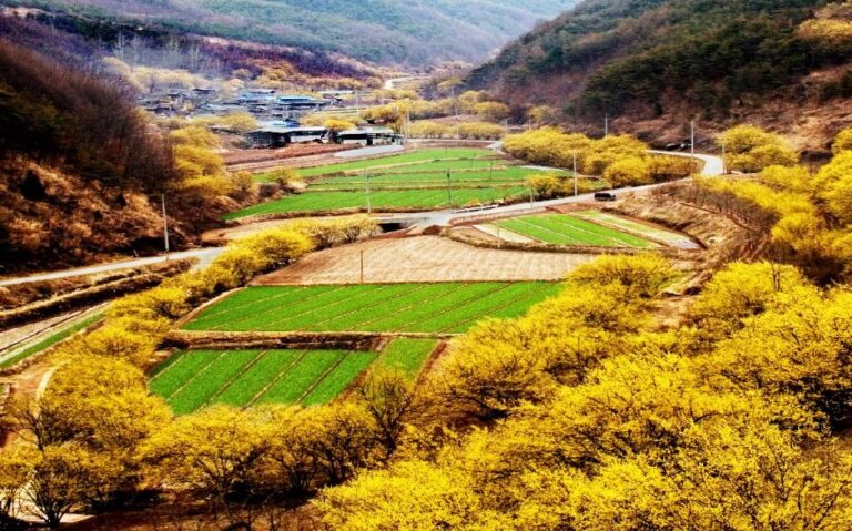 0997c099-63a2-4c86-9dec-8729b759b81d_44