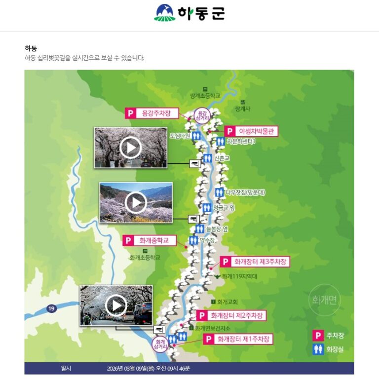 2.벚꽃개화서비스.png.middle