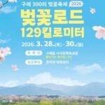 bd8cea9e-55dc-4f05-91f1-4bfeb2dee432_13