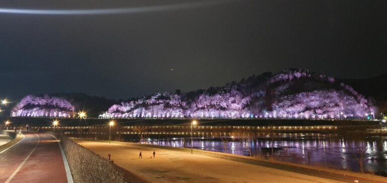 진주시+‘새벼리+야간+경관조명+새단장’+운영+재개+(3).jpg.middle