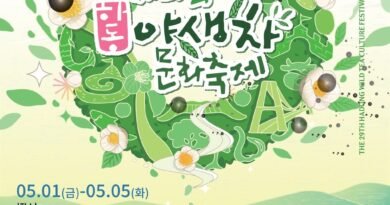 설렘이“茶”오르는 하동야생차문화축제, 올해도 특별함 가득[천지인 뉴스]