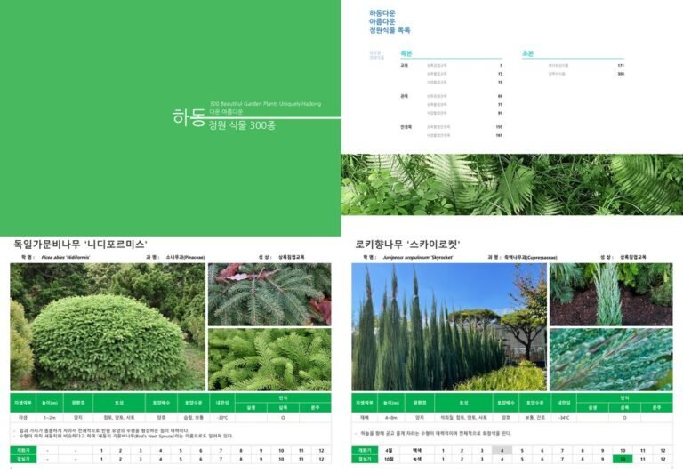 3.정원식물+도감.png.middle