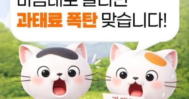 “드론 함부로 날리면 과태료 폭탄”…비행 규정 위반 단속 강화 [천지인뉴스]