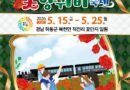 “붉은 설렘, 다시 피어나다” 제12회 하동 북천 꽃양귀비 축제 개막[천지인 뉴스]