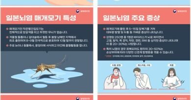 모기 한 마리의 경고, 일본뇌염 지금부터 대비하세요[천지인 뉴스]