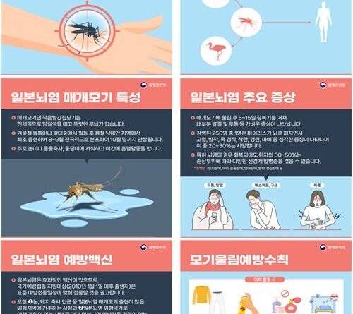 모기 한 마리의 경고, 일본뇌염 지금부터 대비하세요[천지인 뉴스]