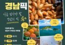 경남의 숨은 매력, 매달 소개한다… ‘월간 경남픽(Pick)’ 첫선[천지인 뉴스]