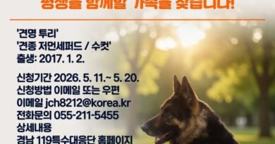 경남소방본부 119구조견 ‘투리’, 8년 헌신 마치고 명예로운 은퇴[천지인 뉴스]