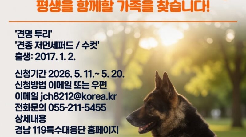 경남소방본부 119구조견 ‘투리’, 8년 헌신 마치고 명예로운 은퇴[천지인 뉴스]