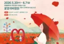원주용수골꽃양귀비축제/2026.05.20 ~ 2026.06.07[천지인 뉴스]