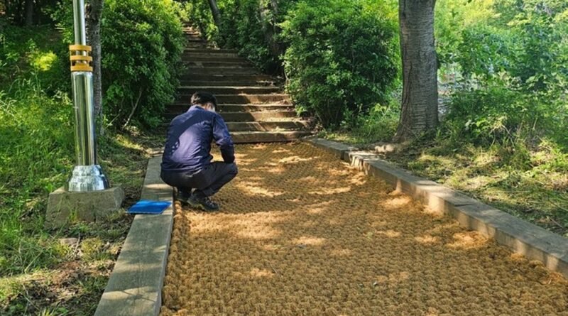 2026년 향교 숲길 정비사업 완료[천지인 뉴스]