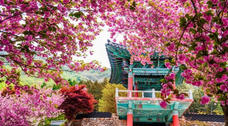 (특집) 인생샷 도시, 사천[천지인 뉴스]