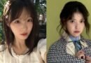 연예인 SNS 덮친 극우의 좌표 찍기, 도 넘은 사상 검증과 악플 테러 [천지인뉴스]