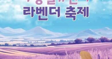 무릉별유천지 라벤더축제/2026.06.13 ~ 2026.06.21