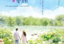 사랑의 시작, 연꽃 향기에 물들다,부여서동연꽃축제/ 2026.07.03 ~ 2026.07.05[천지인 뉴스]
