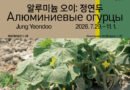 경남도립미술관, 한국 동시대 미술 대표 작가 정연두 조명전《알루미늄 오이: 정연두》 개최[천지인뉴스]