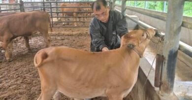 경남도, 여름철 축산농가 가축 무료 순회진료 추진[천지인뉴스]