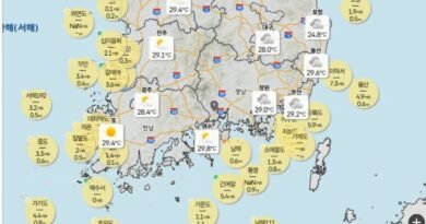 기상상황 및 정보