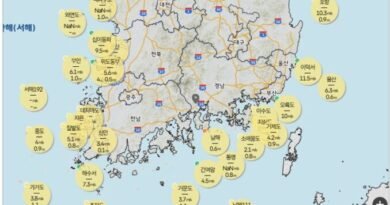 기상상황 및 정보