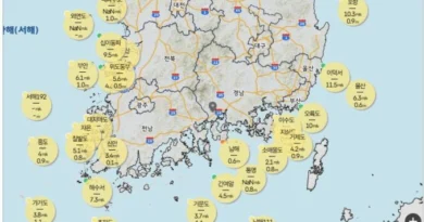 기상상황 및 정보