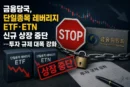 금융당국, 단일종목 레버리지 ETF·ETN 신규 상장 중단…투자 규제 대폭 강화 [천지인뉴스]