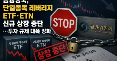 금융당국, 단일종목 레버리지 ETF·ETN 신규 상장 중단…투자 규제 대폭 강화 [천지인뉴스]