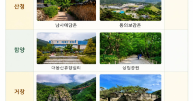 지리산권 웰니스 관광… 체류형 여행상품으로 본격 운영[천지인 뉴스]