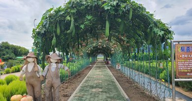 “농업의 유산 토종의 숨결을 찾으러 오세요”[천지인 뉴스]