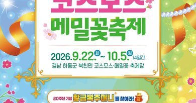 “가을의 설렘, 핑크빛 꽃물결 속으로”…제 20회 하동북천 코스모스메밀꽃 축제 개막[천지인 뉴스]