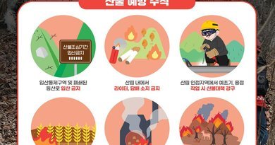 사천시, 추석연휴 산불예방 특별대책 추진[천지인 뉴스]