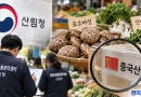 [천지인뉴스] 추석 앞두고 버섯·산나물 유통 합동단속…중국산 버섯 집중 점검