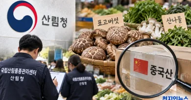 [천지인뉴스] 추석 앞두고 버섯·산나물 유통 합동단속…중국산 버섯 집중 점검
