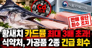[천지인뉴스] 황새치 가공품 2종서 카드뮴 기준 최대 3배 초과…식약처 판매 중단·긴급 회수