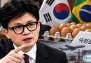 [천지인뉴스] 한동훈 ‘브라질 계란 외교 선물’ 의혹에 민주당 반격…“대사 답변 앞뒤 잘라 허위사실 유포”