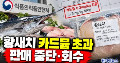 [천지인뉴스] 황새치서 카드뮴 기준 초과 검출…식약처 판매 중단·회수